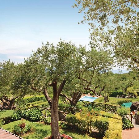 Villa Francesca Acquavena Exterior photo